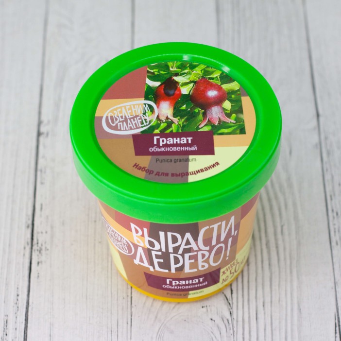 Набор для выращивания &quot;Гранат обыкновенный&quot; 