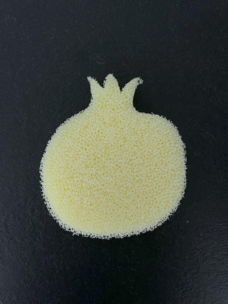 Губка для посуды "Pomegranate"
