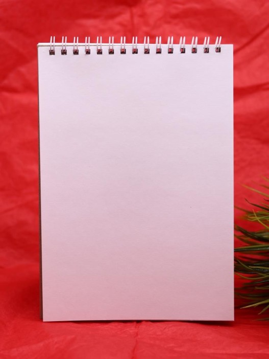 Скетчбук DRAW ME! «Дружные лисички», 14х20 см,  плотность 100 гр 