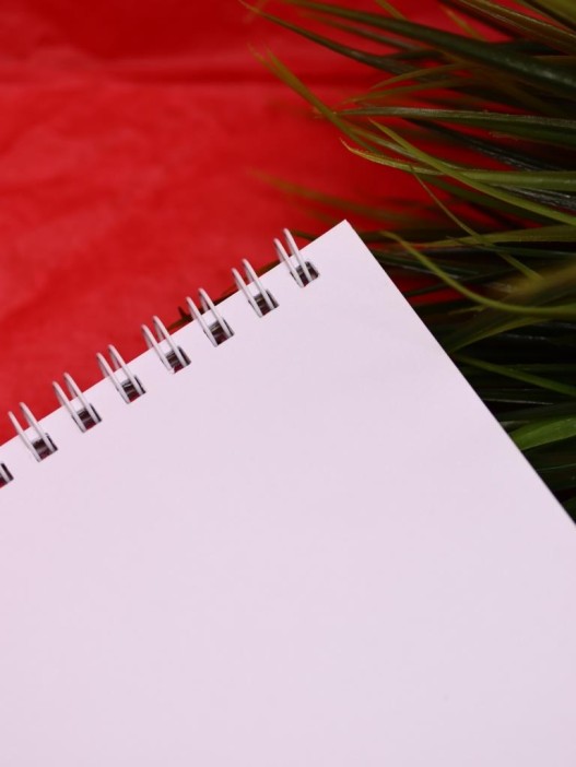 Скетчбук DRAW ME! «Дружные лисички», 14х20 см,  плотность 100 гр 