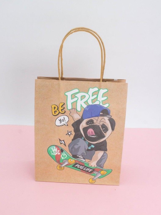 Пакет подарочный крафтовый «CoOol», be free (21*25,5*10) 