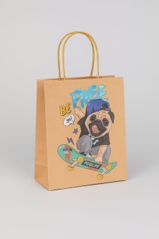 Пакет подарочный крафтовый «CoOol», be free (21*25,5*10)