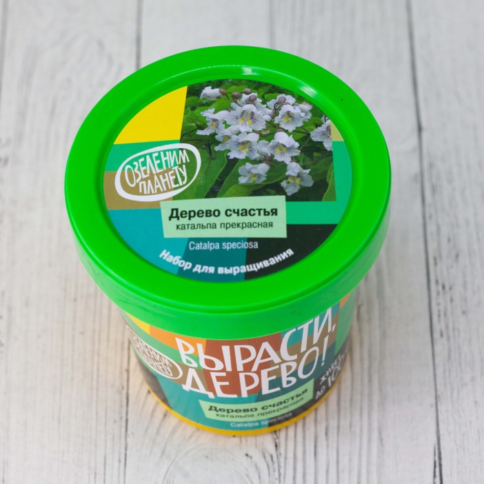 Набор для выращивания &quot;Дерево счастья катальпа&quot; 
