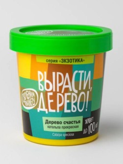 Набор для выращивания "Дерево счастья катальпа"