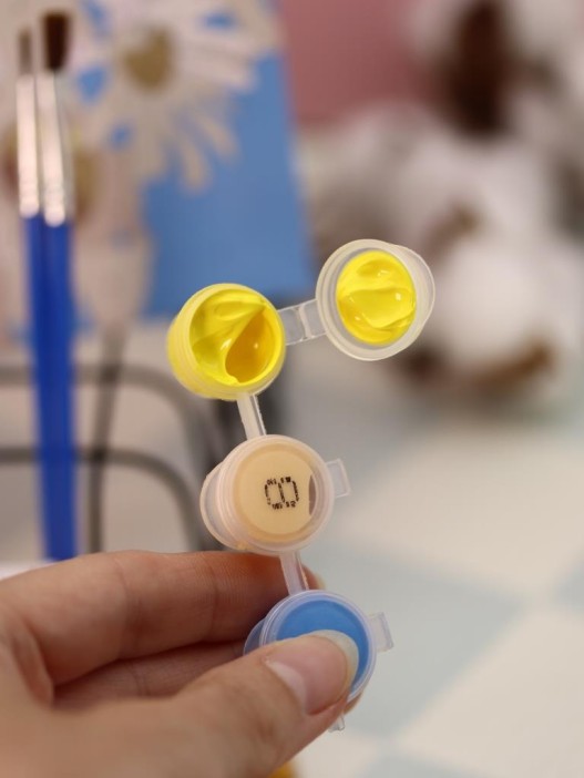 Картина по номерам на подрамнике Draw Me! «Field daisies», (20*20 см) 