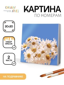 Картина по номерам на подрамнике Draw Me! "Полевые ромашки", (20*20 см)