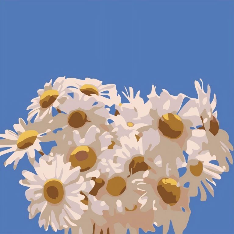 Картина по номерам на подрамнике Draw Me! "Полевые ромашки", (20*20 см)