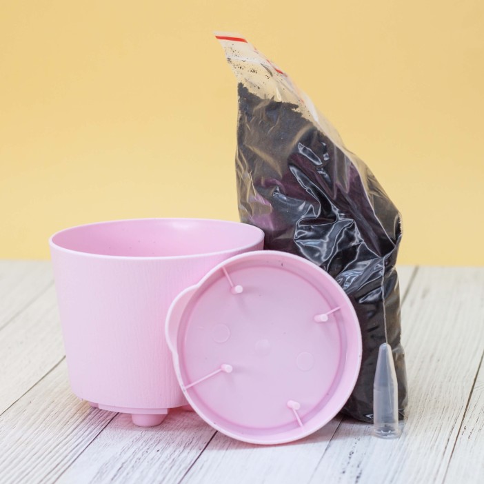 Набор для выращивания &quot;Тысяча листьев&quot;, &quot;Анютины глазки&quot; 