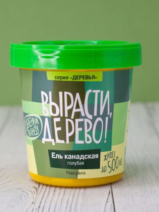 Набор для выращивания &quot;Ель канадская голубая&quot; 