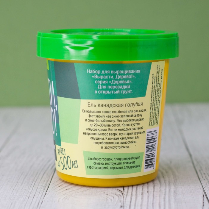 Набор для выращивания &quot;Ель канадская голубая&quot; 