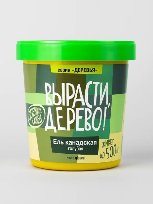 Набор для выращивания &quot;Ель канадская голубая&quot; 