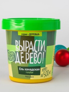 Набор для выращивания "Ель канадская голубая"