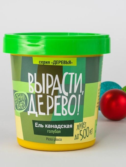 Набор для выращивания &quot;Ель канадская голубая&quot; 