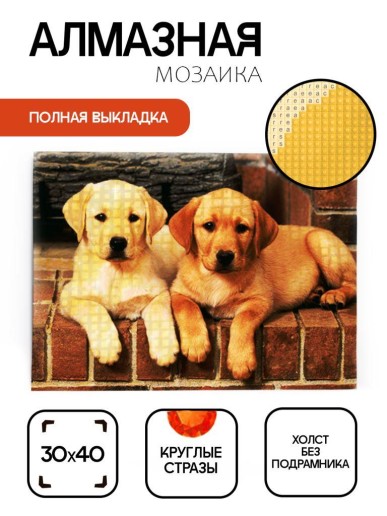 Алмазная мозаика без подрамника "Два лабрадора" , 30х40 см