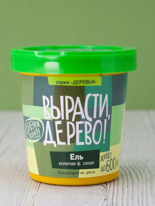 Набор для выращивания &quot;Ель колючая сизая&quot; 