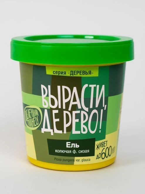 Набор для выращивания "Ель колючая сизая"