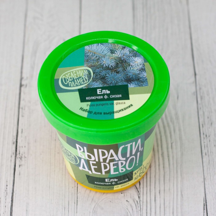 Набор для выращивания &quot;Ель колючая сизая&quot; 