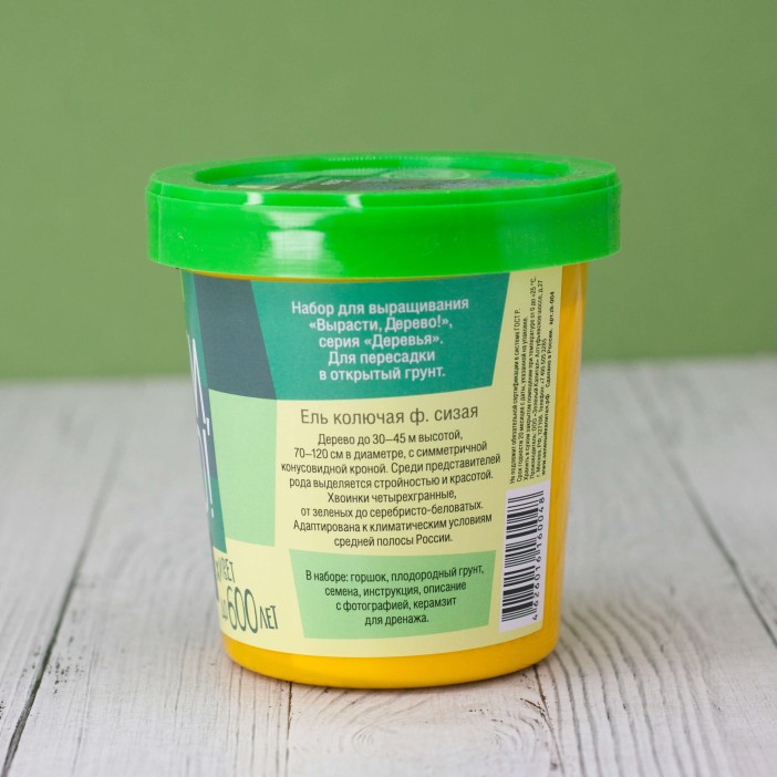 Набор для выращивания &quot;Ель колючая сизая&quot; 