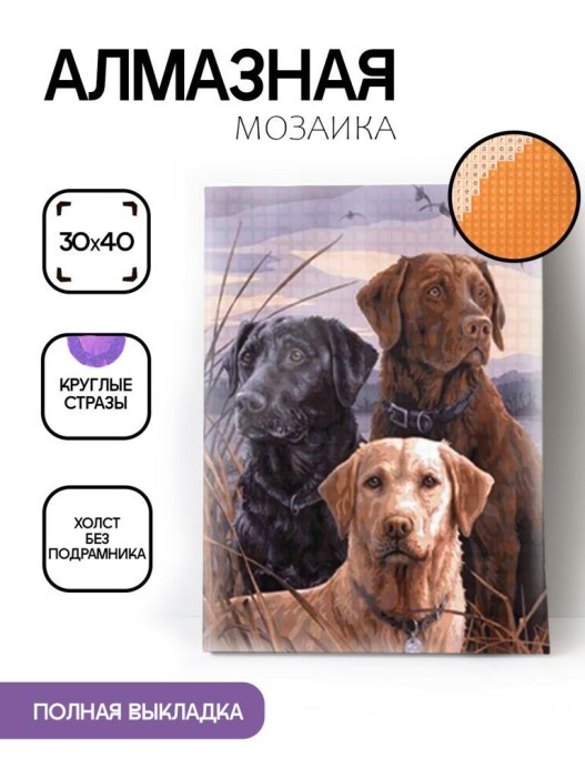 Алмазная мозаика без подрамника &quot;Три лабрадора&quot;, 30х40 см 