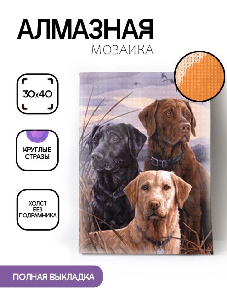 Алмазная мозаика без подрамника "Три лабрадора", 30х40 см