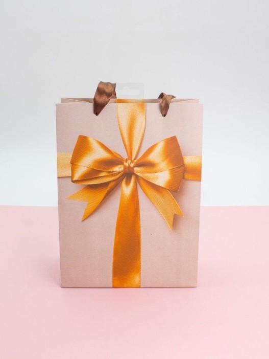 Подарочный пакет (M) &quot;Holiday surprise&quot;, (18*24*8,5 см) 