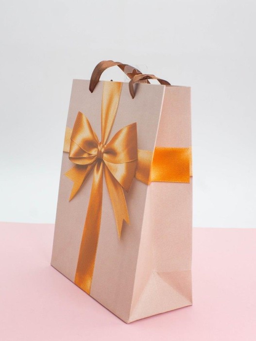 Подарочный пакет (M) &quot;Holiday surprise&quot;, (18*24*8,5 см) 