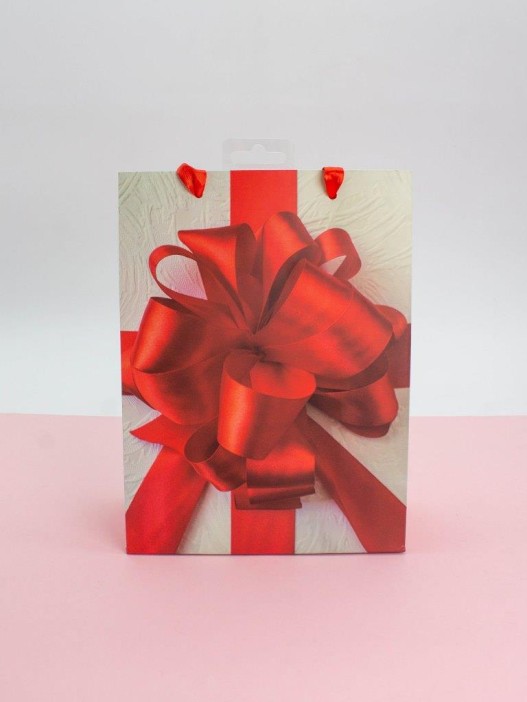 Подарочный пакет (M) &quot;Holiday surprise&quot;, (18*24*8,5 см) 