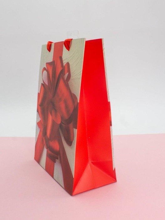 Подарочный пакет (M) &quot;Holiday surprise&quot;, (18*24*8,5 см) 