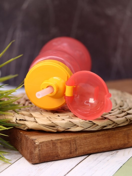 Бутылка &quot;Fruit&quot; с трубочкой, pink (400 ml) 