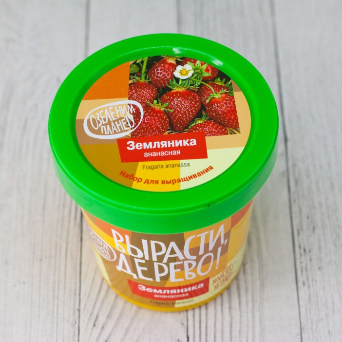 Набор для выращивания &quot;Земляника ананасная&quot; 