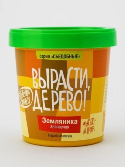 Набор для выращивания "Земляника ананасная"