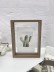 Фоторамка «Cactus», дерево (13*18 см) 