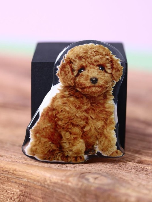 Попсокет "Curlydog" 