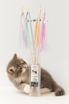 Вечный карандаш - дразнилка "Cat teaser stick", mix