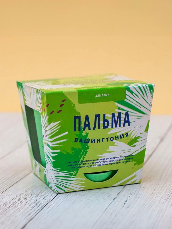 Набор для выращивания "Листья Тысяча", "Пальма Вашингтония"