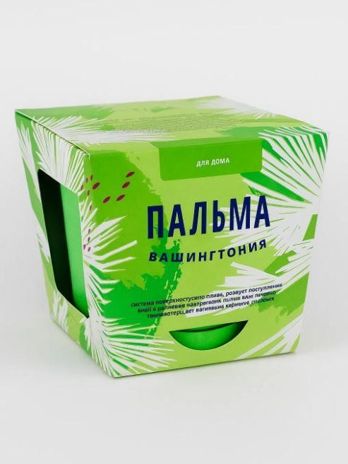 Набор для выращивания "Листья Тысяча", "Пальма Вашингтония"