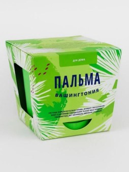 Набор для выращивания "Листья Тысяча", "Пальма Вашингтония"