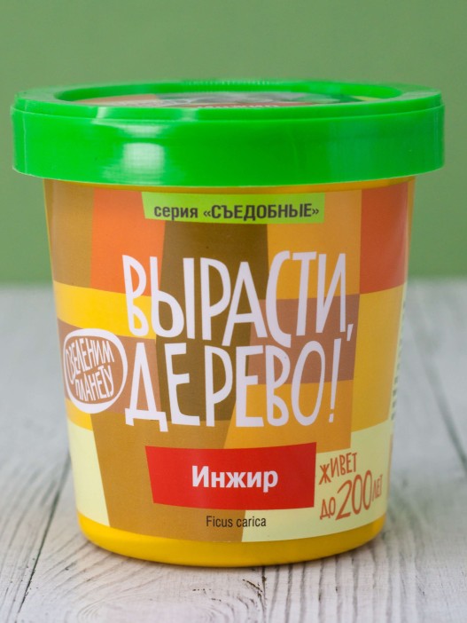 Набор для выращивания &quot;Инжир&quot; 