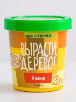 Набор для выращивания "Инжир"