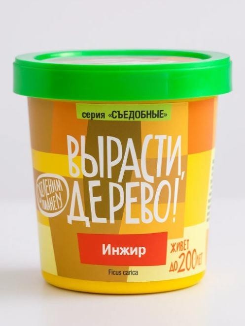 Набор для выращивания "Инжир"
