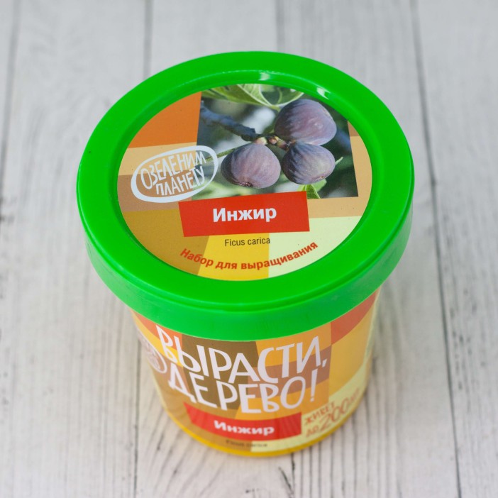 Набор для выращивания &quot;Инжир&quot; 