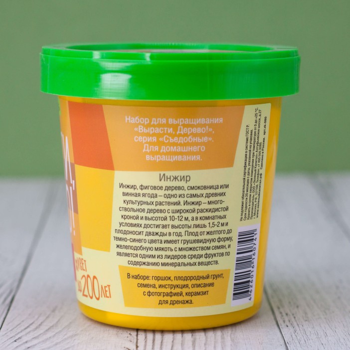 Набор для выращивания &quot;Инжир&quot; 
