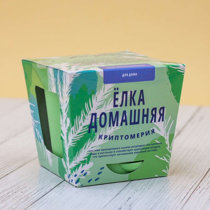 Набор для выращивания "Тысяча листьев", "Ёлка домашняя (криптомерия)" 