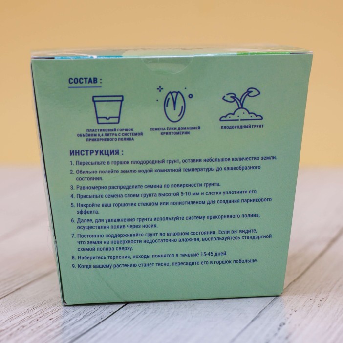 Набор для выращивания "Тысяча листьев", "Ёлка домашняя (криптомерия)" 