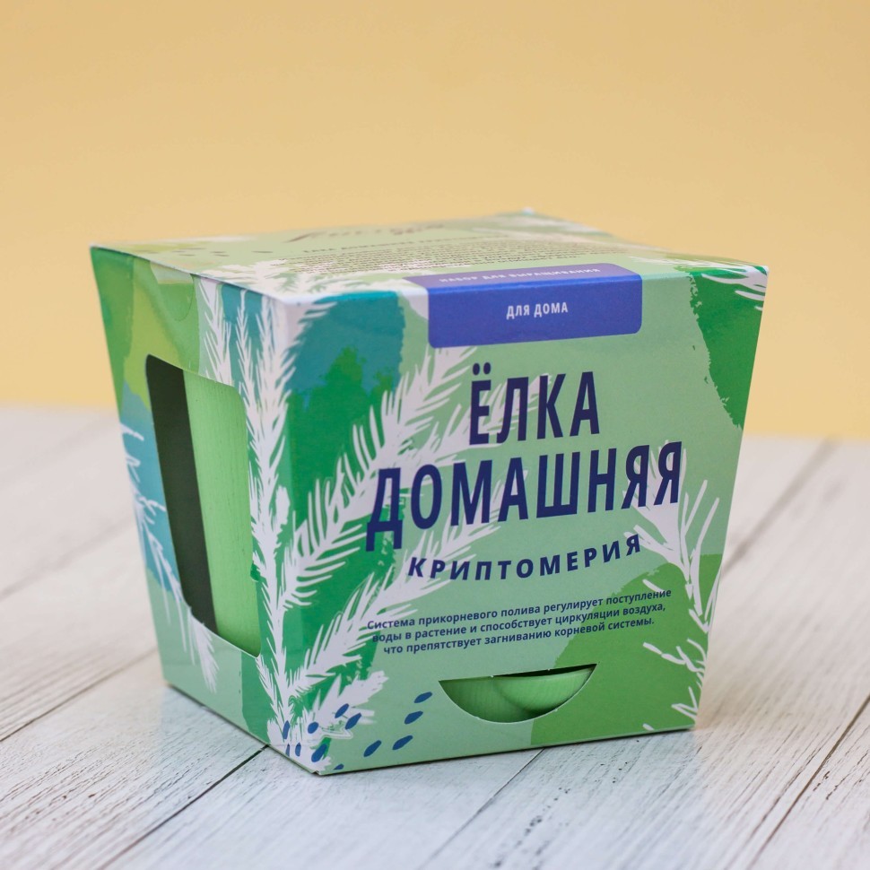 Набор для выращивания "Тысяча листьев", "Ёлка домашняя (криптомерия)"