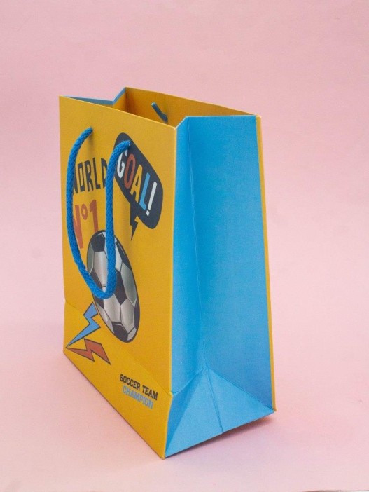 Пакет подарочный «Power», champion (18*23*10) 