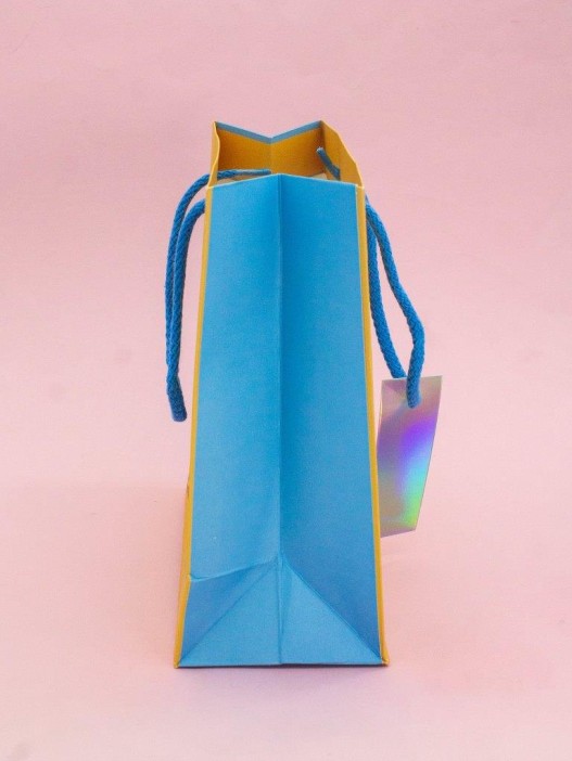 Пакет подарочный «Power», champion (18*23*10) 