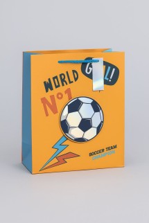 Пакет подарочный «Power», champion (18*23*10)