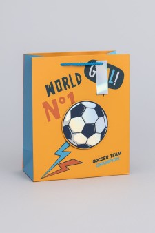 Пакет подарочный «Power», champion (18*23*10)