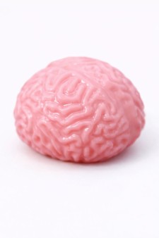 Мялка - антистресс «Мозги», микс